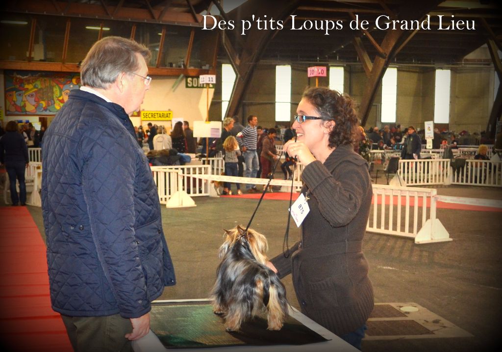 Des P'tits Loups De Grand Lieu - Expo Poitiers 17/10