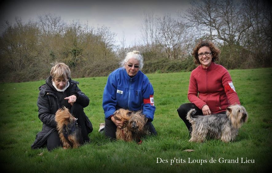 Des P'tits Loups De Grand Lieu - Concours agility spécial CFAT-DT 10/03