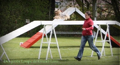 Des P'tits Loups De Grand Lieu - Concours agility Vertou 09/06