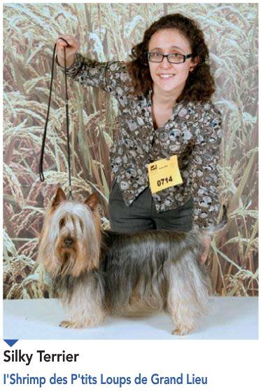 Des P'tits Loups De Grand Lieu - Concours Général Agricole 04/03