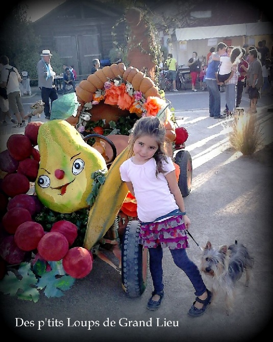 Des P'tits Loups De Grand Lieu - Les FestiFolies de Saint Aignan de Grand Lieu 27-28/09