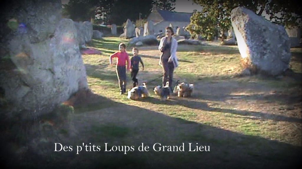 Des P'tits Loups De Grand Lieu - Bilan 2016