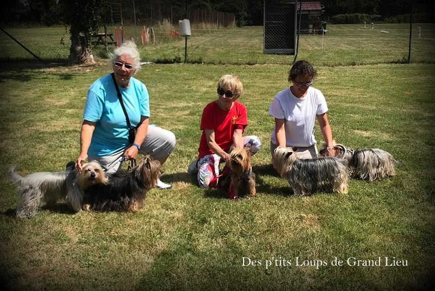 Des P'tits Loups De Grand Lieu - Concours agility spécial CFAT-DT 24/06
