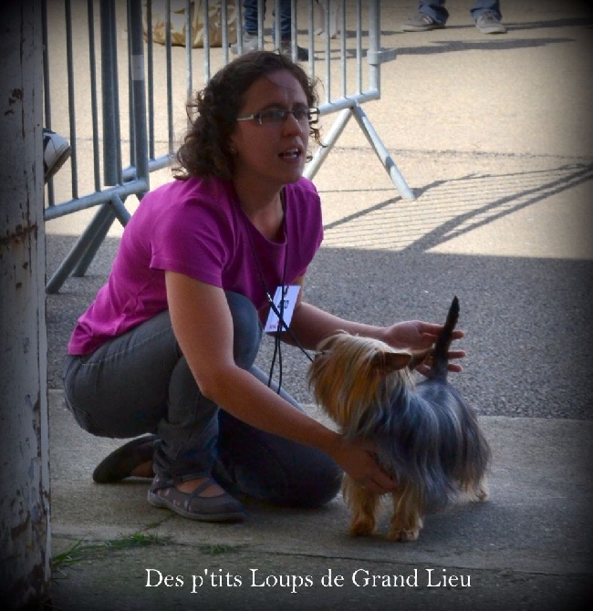 Des P'tits Loups De Grand Lieu - Expo Château Gontier 23/08