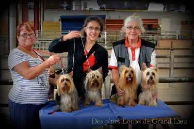 Des P'tits Loups De Grand Lieu - Chateau Gontier 18/08