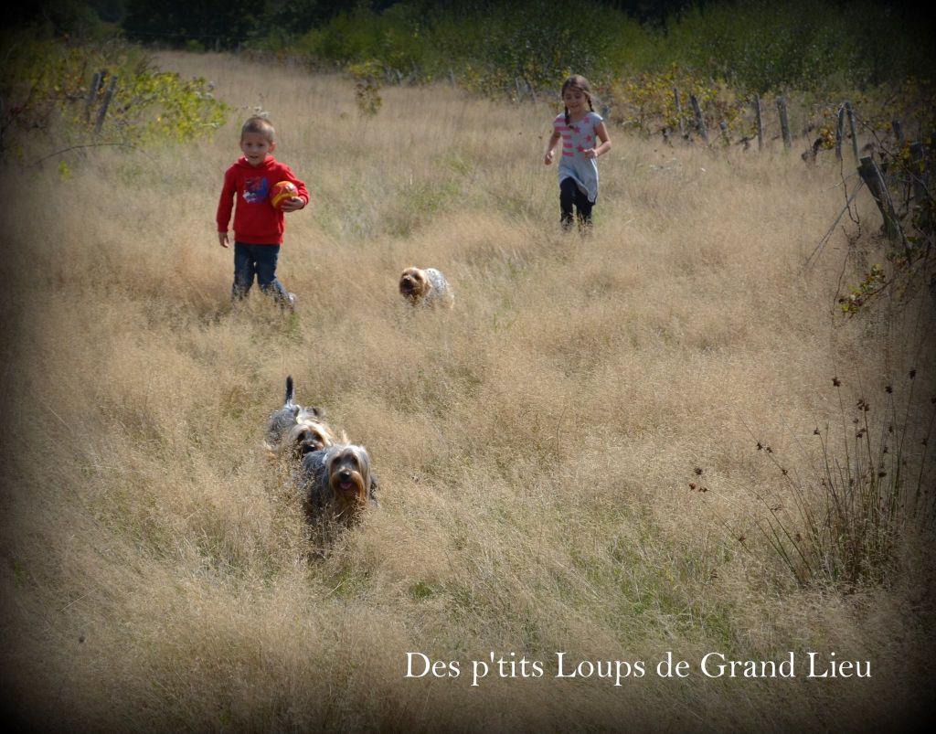 Le bonheur est dans le pré